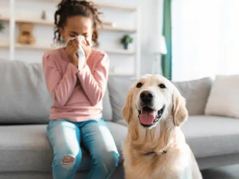 allergies-hendrixair-cleaning-service-768×576