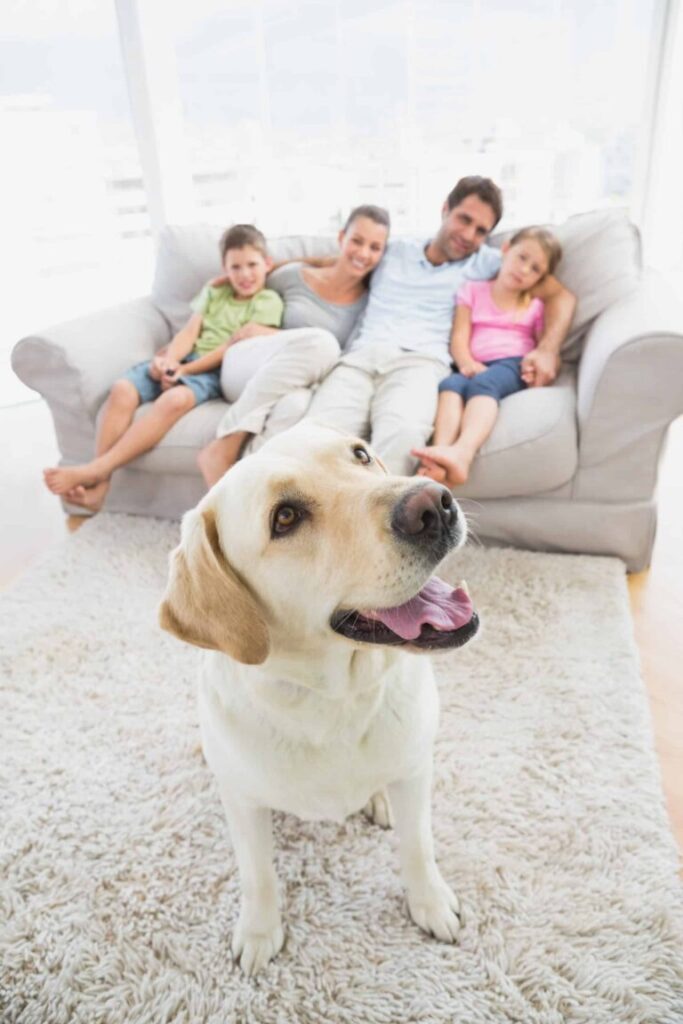 family-inside-dog-happy-scaled-1-768×1152