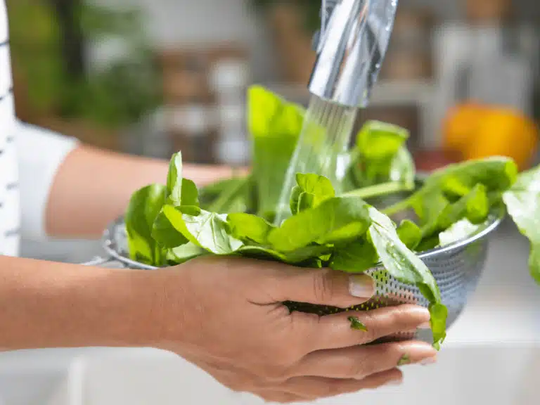 hendrixair-kitchen-clog-sink-768×576