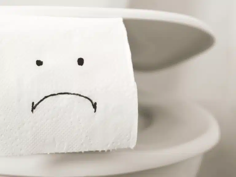 toilet-clog-summer-hendrix-768×576